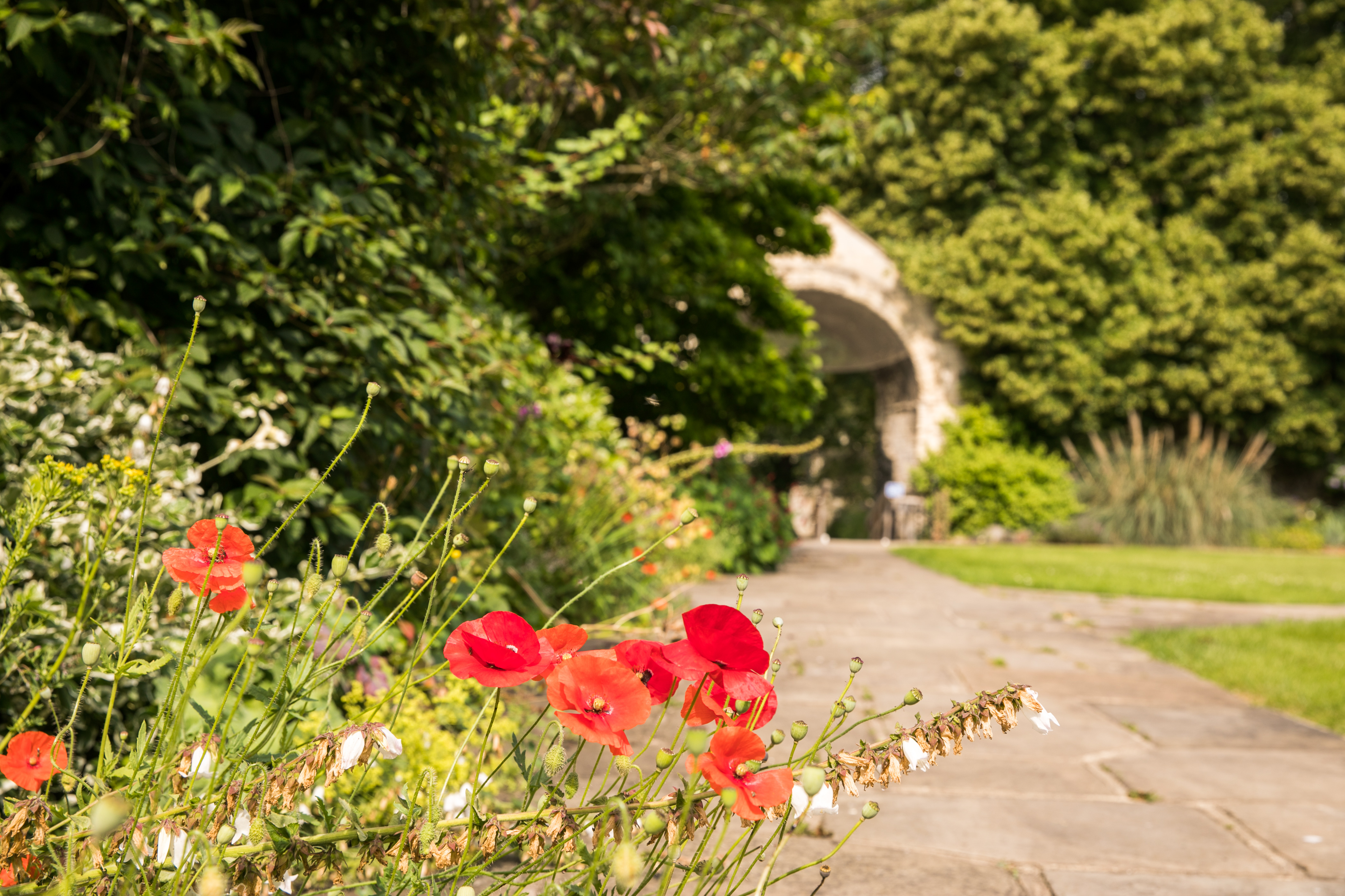 Cathedral Garden 23.07.21 11