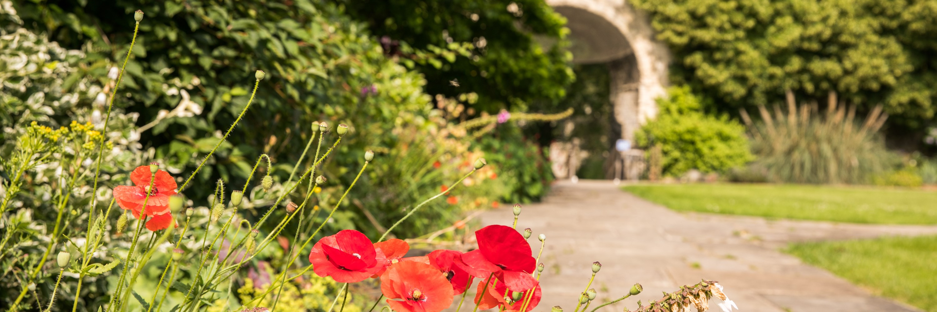 Cathedral Garden 23.07.21 11
