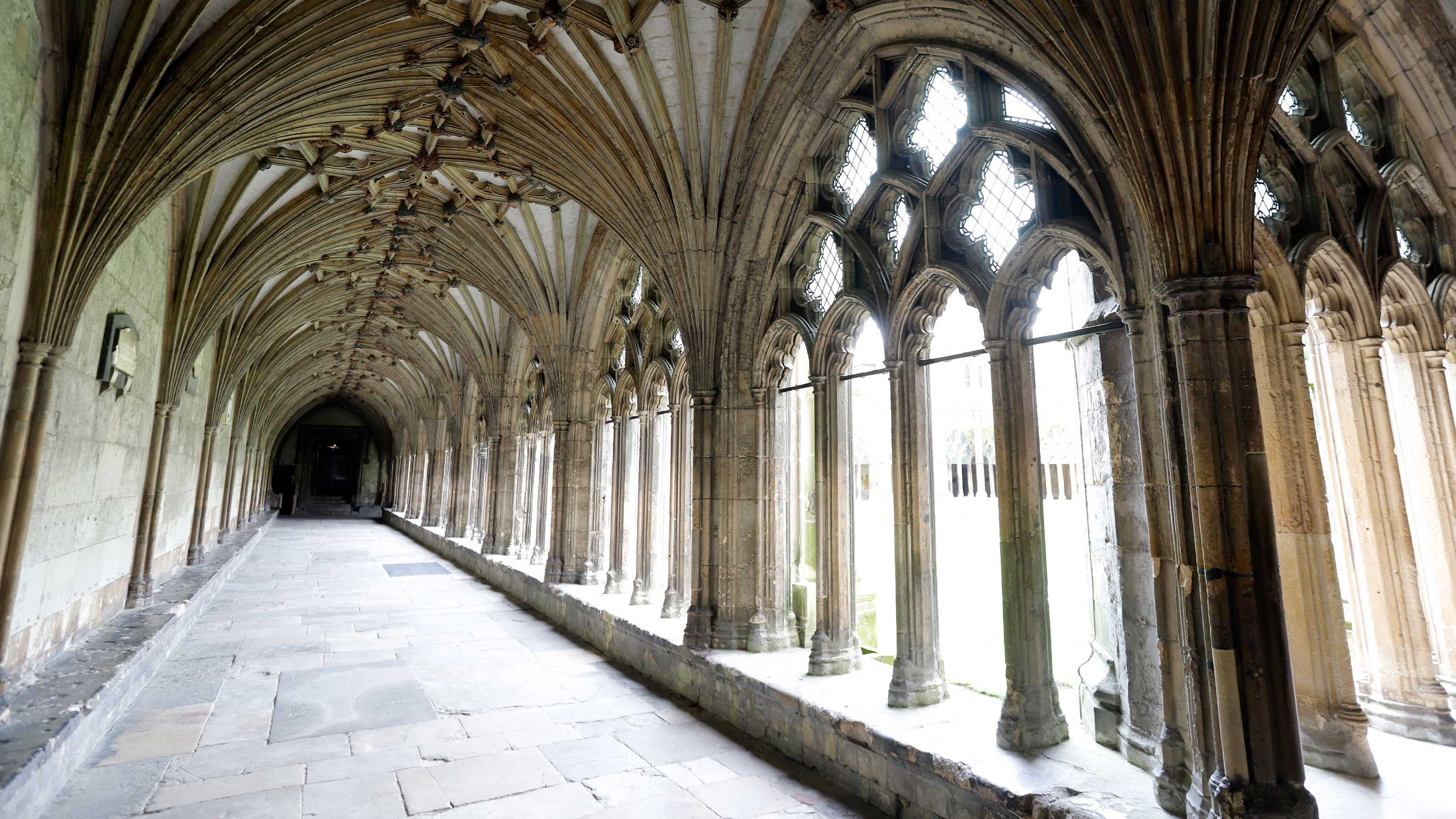 Lifestyle 310 Banner Smaller