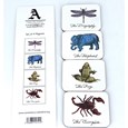 Image of Animal Magnets 2