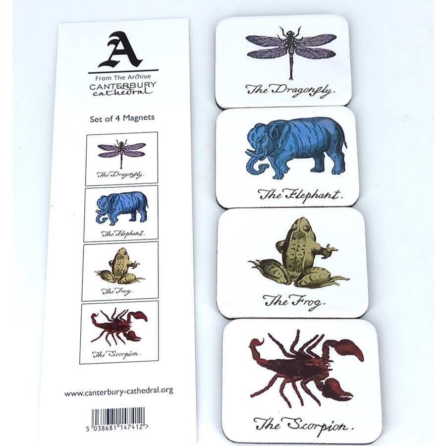 Image of Animal Magnets 2