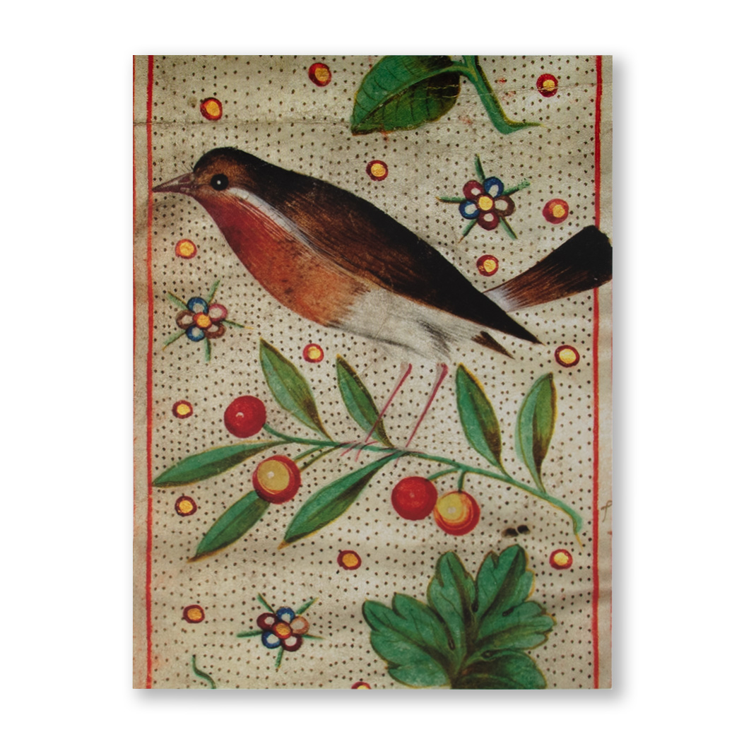 Image of 2026 Xmas Card Robin