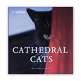 Image of Book Cathedral Cats