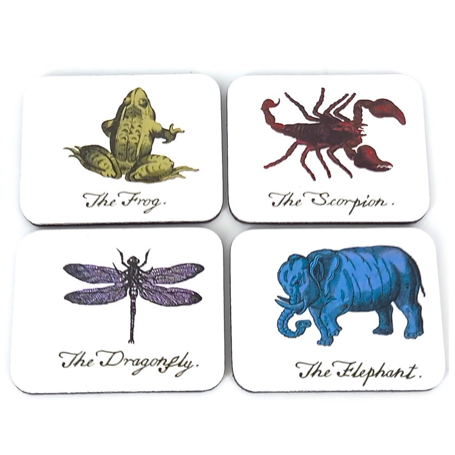 Image of Animal Magnets 1